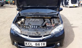 Toyota Wish 2010 full